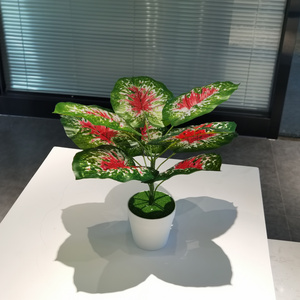 YD8735 Wholesale caladium artificial plants small bonsai plant tree yiwu yada manufacturer