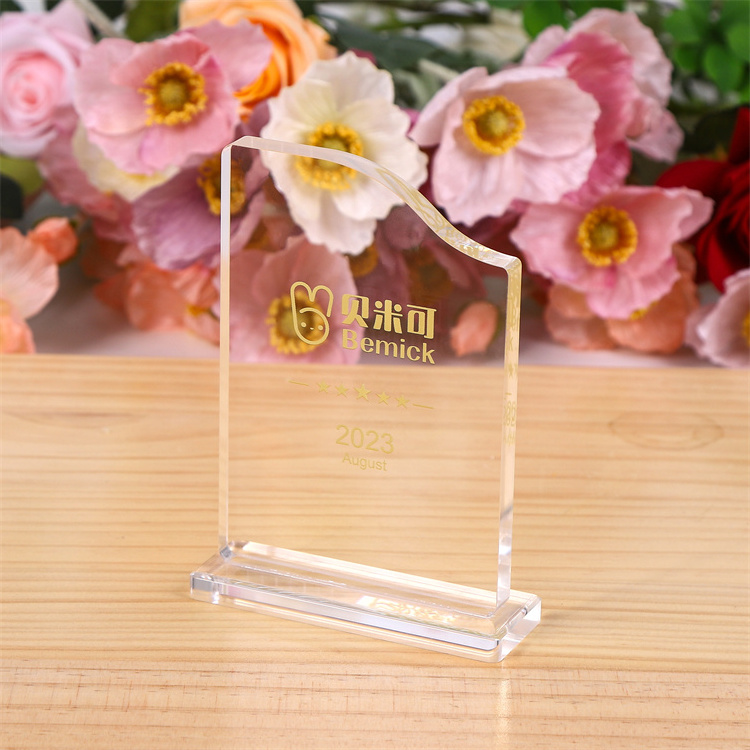 Custom Blanks Clear Acrylic Award Trophy Plaques Transparent for Anniversary Souvenirs Business Gifts Plastic Customized Logo