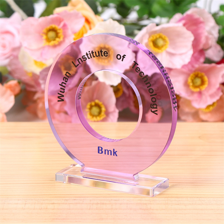 Factory Exquisite Personalized Custom Clear Blanks 3d Acrylic Plaque Award Trophy for Souvenir Plastic Customized Logo Europe