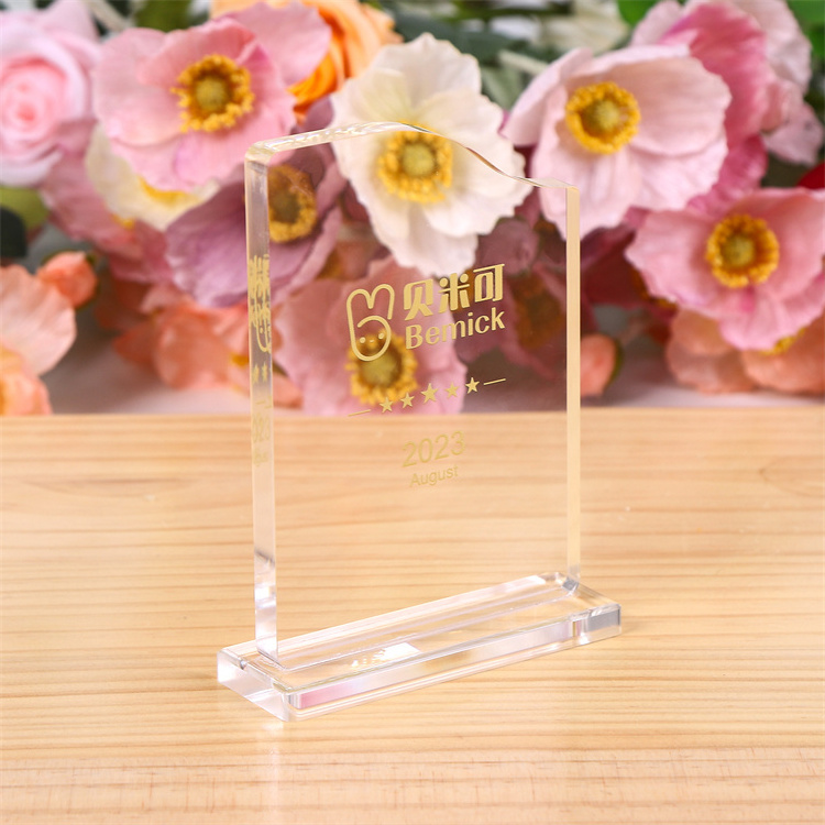 Custom Blanks Clear Acrylic Award Trophy Plaques Transparent for Anniversary Souvenirs Business Gifts Plastic Customized Logo