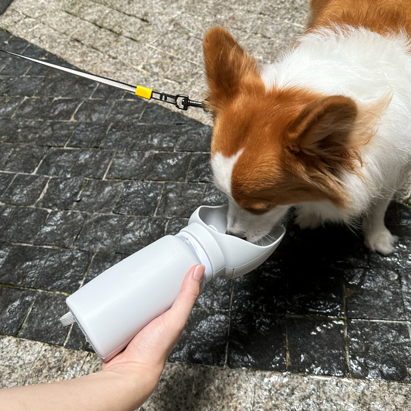 Outdoor Leakproof Puppy Feeding Drinking Cup Bowl Travel Silicone Portable Pet Dog Water Bottle Bowl for dogs