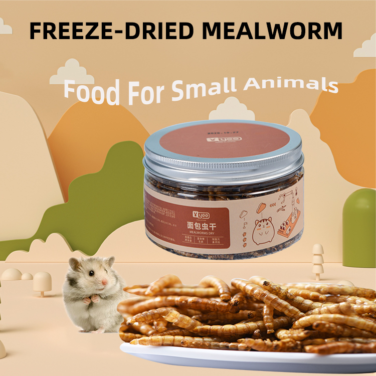 Yee Fish Food Dried Mealworms 100%Pure Natural Bulk Wholesale Nirds Fish Small Pet Food