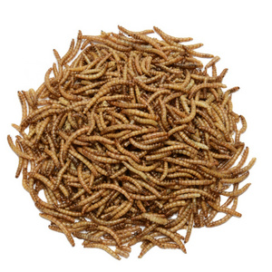 High Protein Dried Mealworm Fish Feed Pellets Koi Carp Aquarium Fish Food