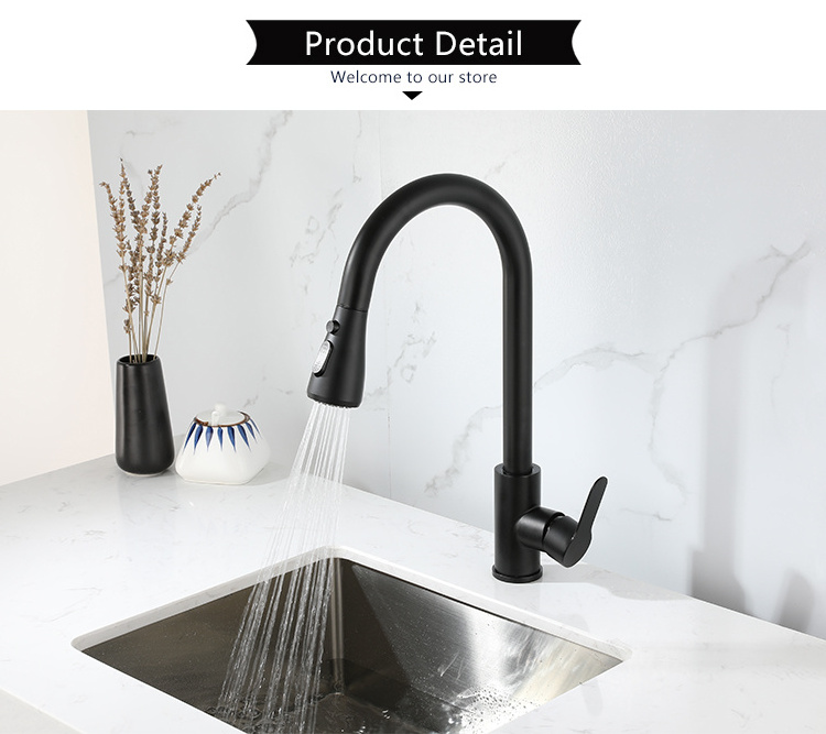 Black Kitchen Sink Faucets with Pull Down Sprayer Stainless Steel Single Handle Rotatable Hot Cold Gourmet Kitchen Faucet