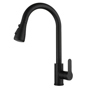 Black Kitchen Sink Faucets with Pull Down Sprayer Stainless Steel Single Handle Rotatable Hot Cold Gourmet Kitchen Faucet