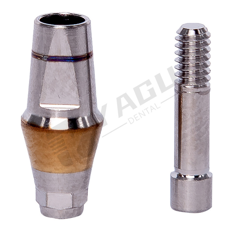 Dual Abutment Dental Abutment Implant implant Internal Hex for Dentium Osstem Nobel