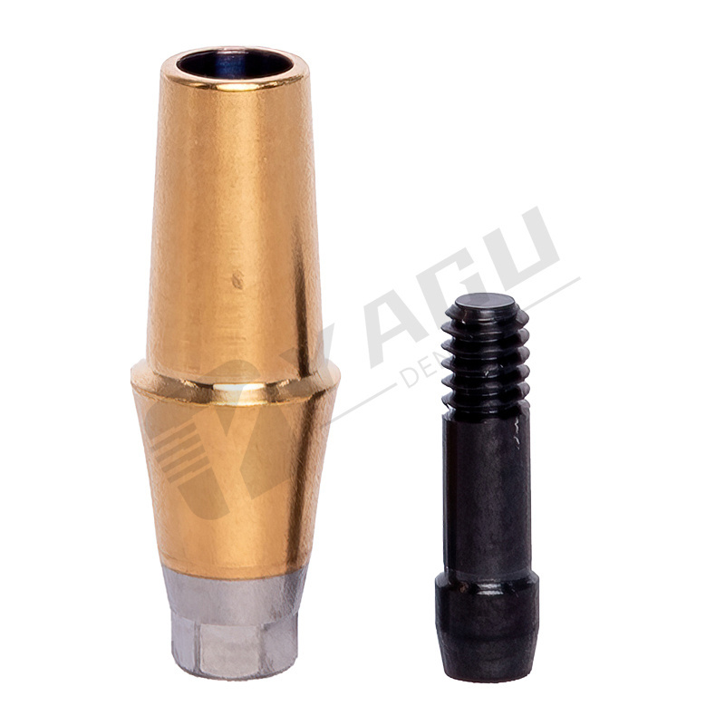 Dual Abutment Dental Abutment Implant implant Internal Hex for Dentium Osstem Nobel