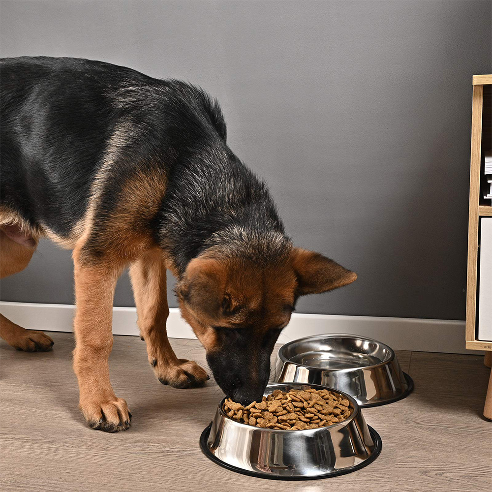 Wholesale nonslip dog bowl/pet bowl /cat bowl with rubber base Stainless Steel Pet food drinking bowl Dish