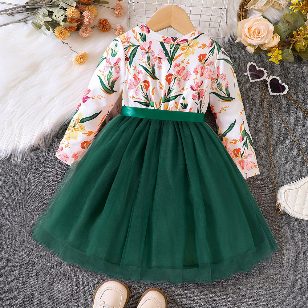 Wholesale 3 Colors New Girls' Spring and Autumn Long Sleeve Floral Printed Tulle Skirt Dress Girls Casual Dresses For Daily