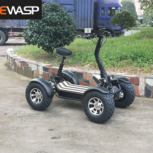 New Electric ATV Dune Buggy 6000W Electric Quad Bike Four Wheel Driving Li-ion 60V/60A