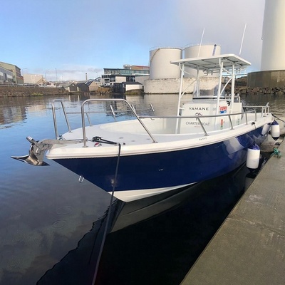 27 ft Aluminum flat bottom jon boat fishing boat all weld