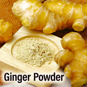 High Quality Natural Pure Ginger Powder Vegetarian Vegan 100% From Japan Wholesale