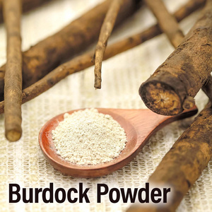 High Quality Natural Pure Burdock Powder Vegetarian Vegan 100% From Japan Wholesale