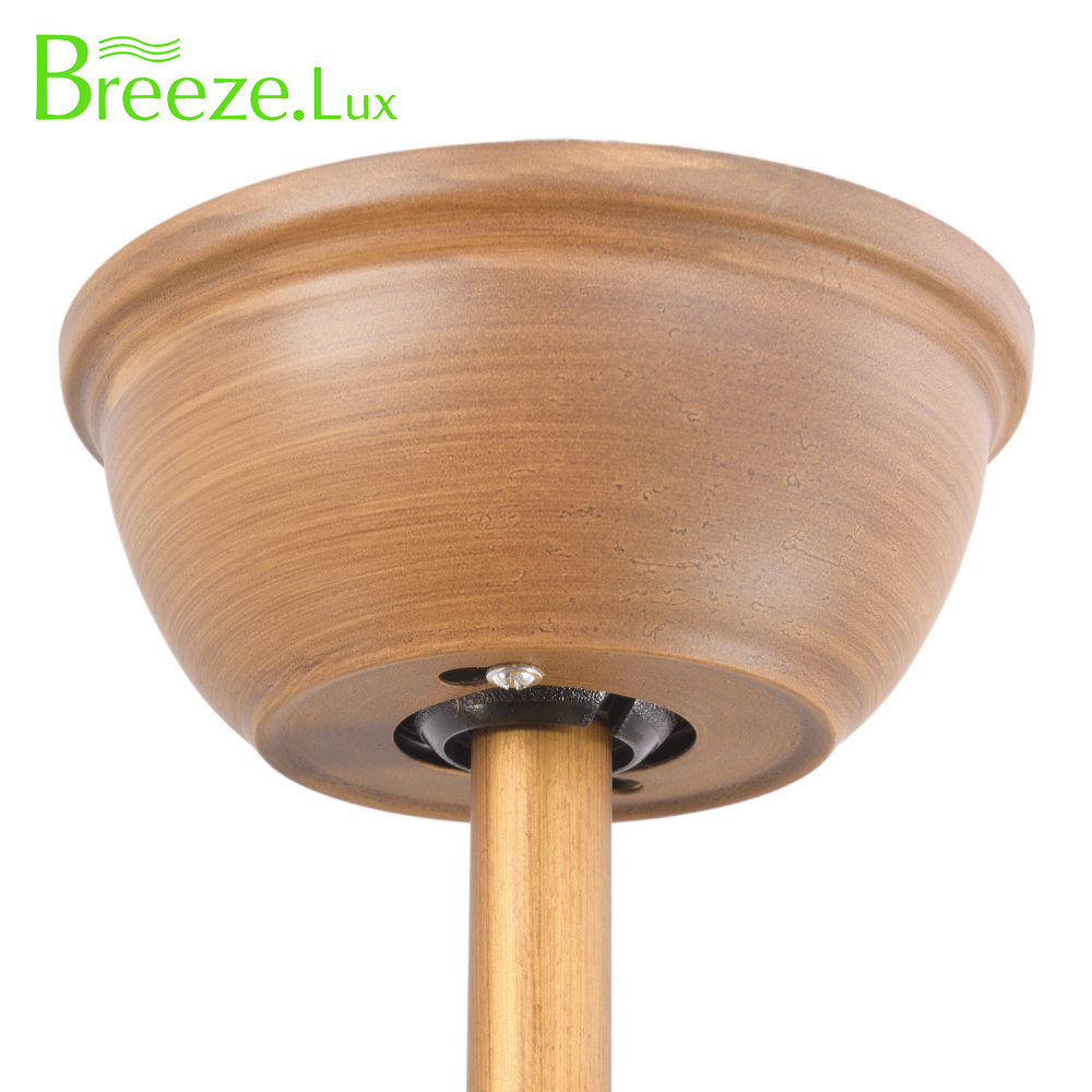 Breezelux Unique Design Indoor Fan Light Surface Mounted Modern Ceiling Lights Fixtures