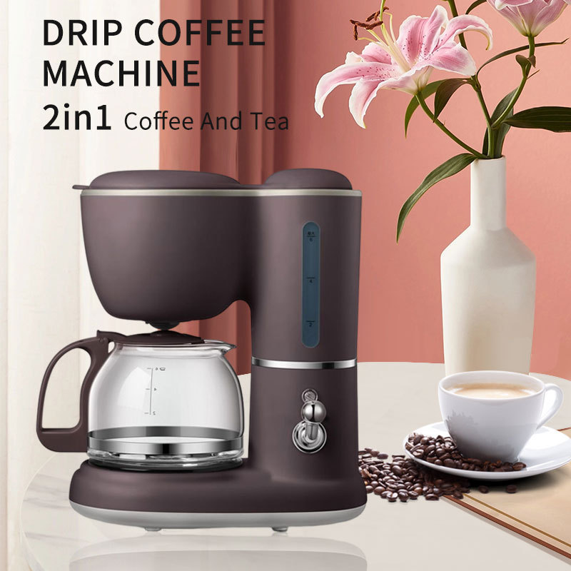 2 in1Portable Electric Drip Coffee Makers Coffee pot glass Thermos Teapot Small Home Office Automatic Coffee Machine for Tea