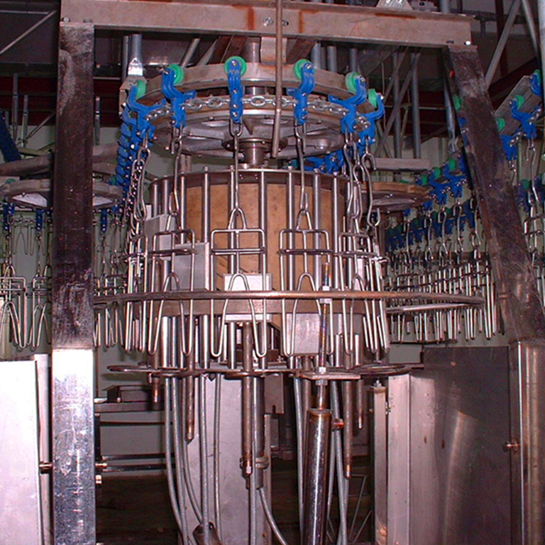 Chicken slaughtering line overhead conveyor