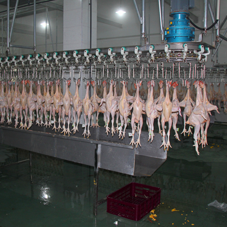 Stainless Steel Chicken Slaughtering Water Screw Chiller