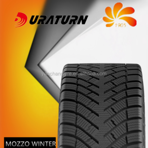 cheap winter tyre 225/55R17 225 55 17 tire factory DURATURN tire