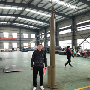 6m 8m 10m 12m 20m Street Pole Telescopic Cctv Aerial Camera Mast