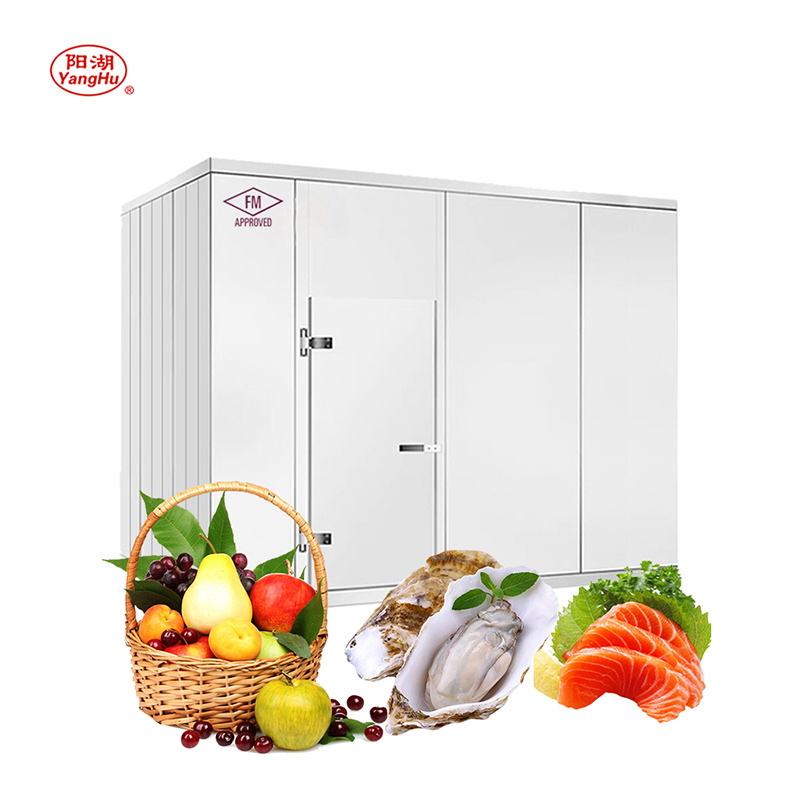 China good hinged door cold room reefer frozen room cold storage freezer room