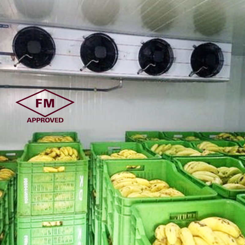 Best price industrial equipment refrigerated container fruit and vegetable large cold storage room for sale