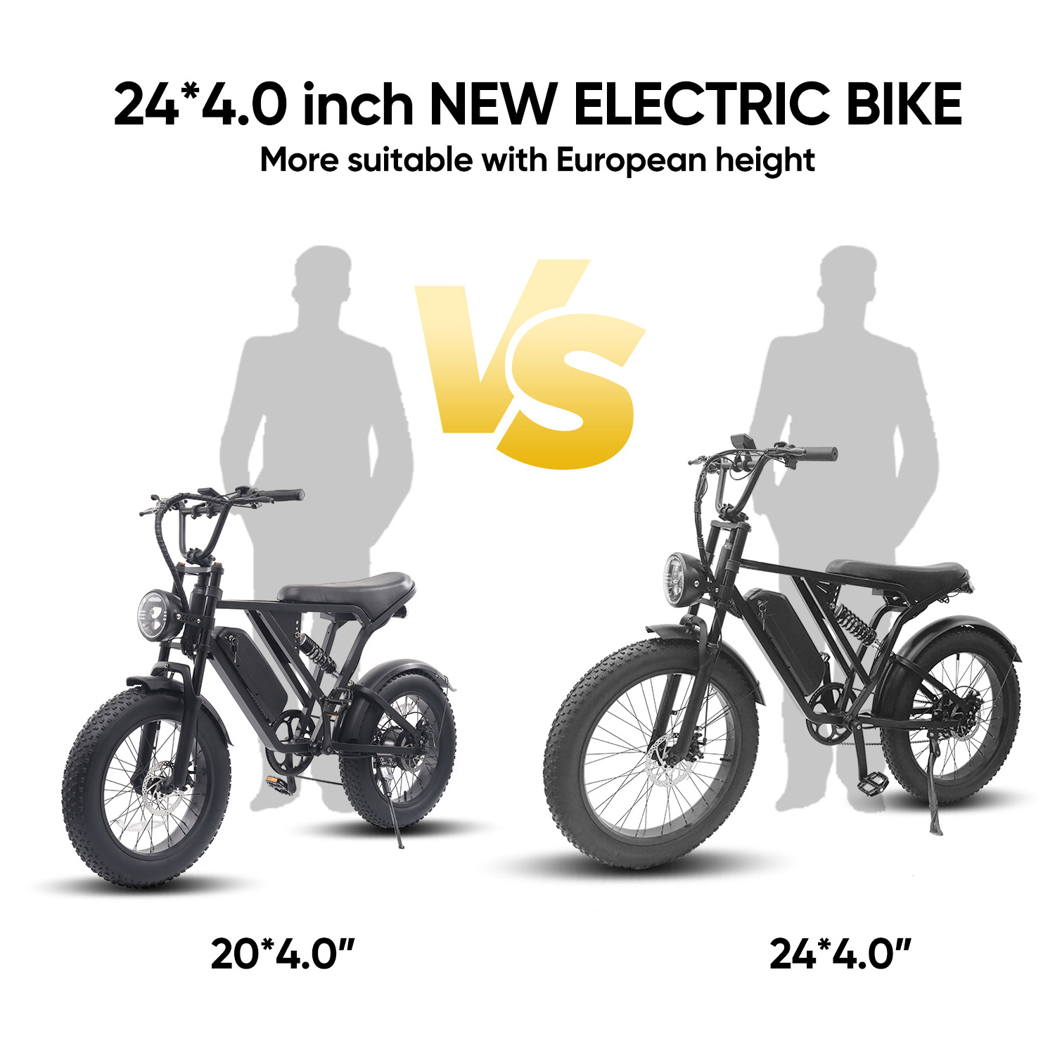 EBIKE Hot Selling Design Belt Drive Electric Motor Bike Electric Fat Tire Bike Ebike 24 Inch LCD Display 48V