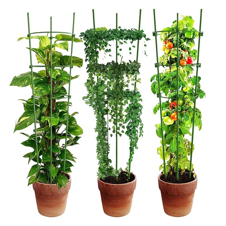 Metal Tomato Cage Garden Support Stakes for Climbing Plants Outdoor Garden Trellises for Vegetables Fruits Flowers Products