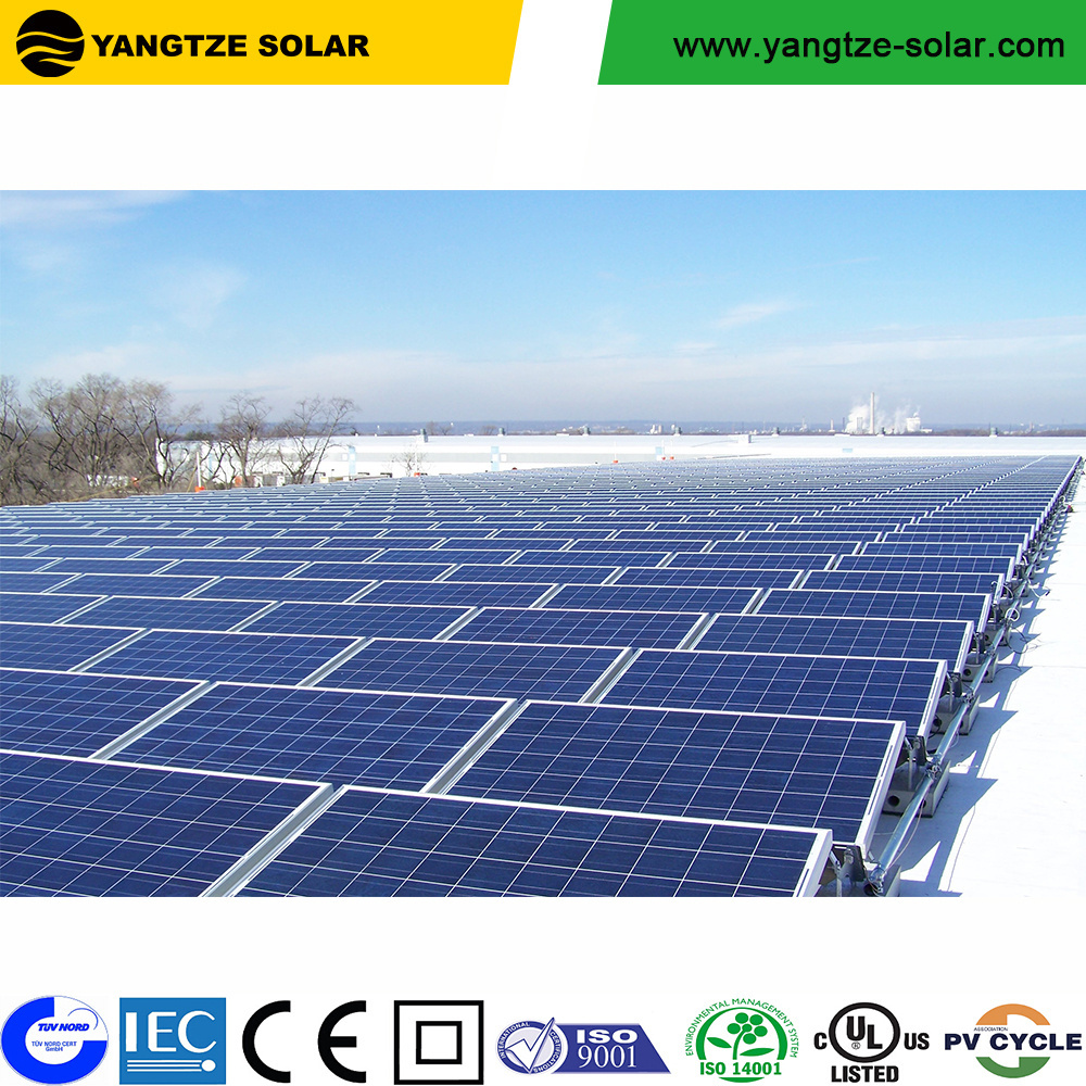 High efficiency top one 280w 290 watt 300 watt 310w monocrystalline solar panels