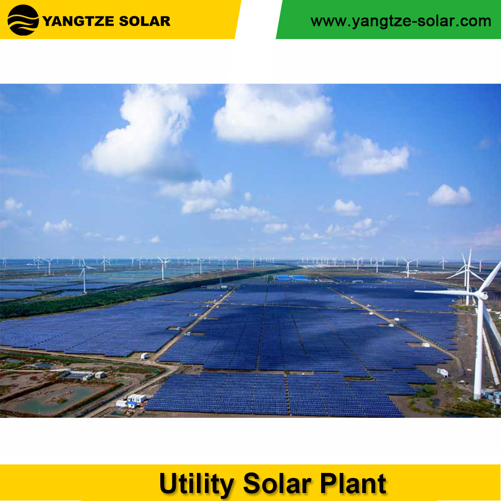 Yangtze new design 2 mw 10 mw solar power generator electric farm