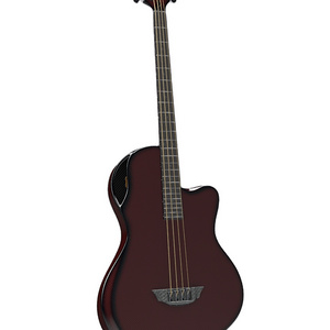 acoustic carbon fiber bass guitar