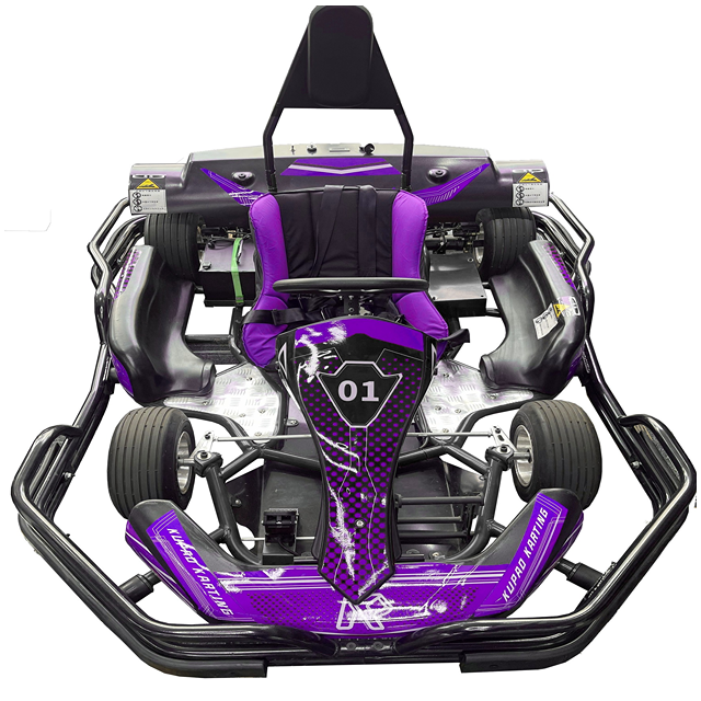 Hot High-Performance 200CC Hon: Professional 200CC Karting with Rear Wheel Drive and Honda Engine