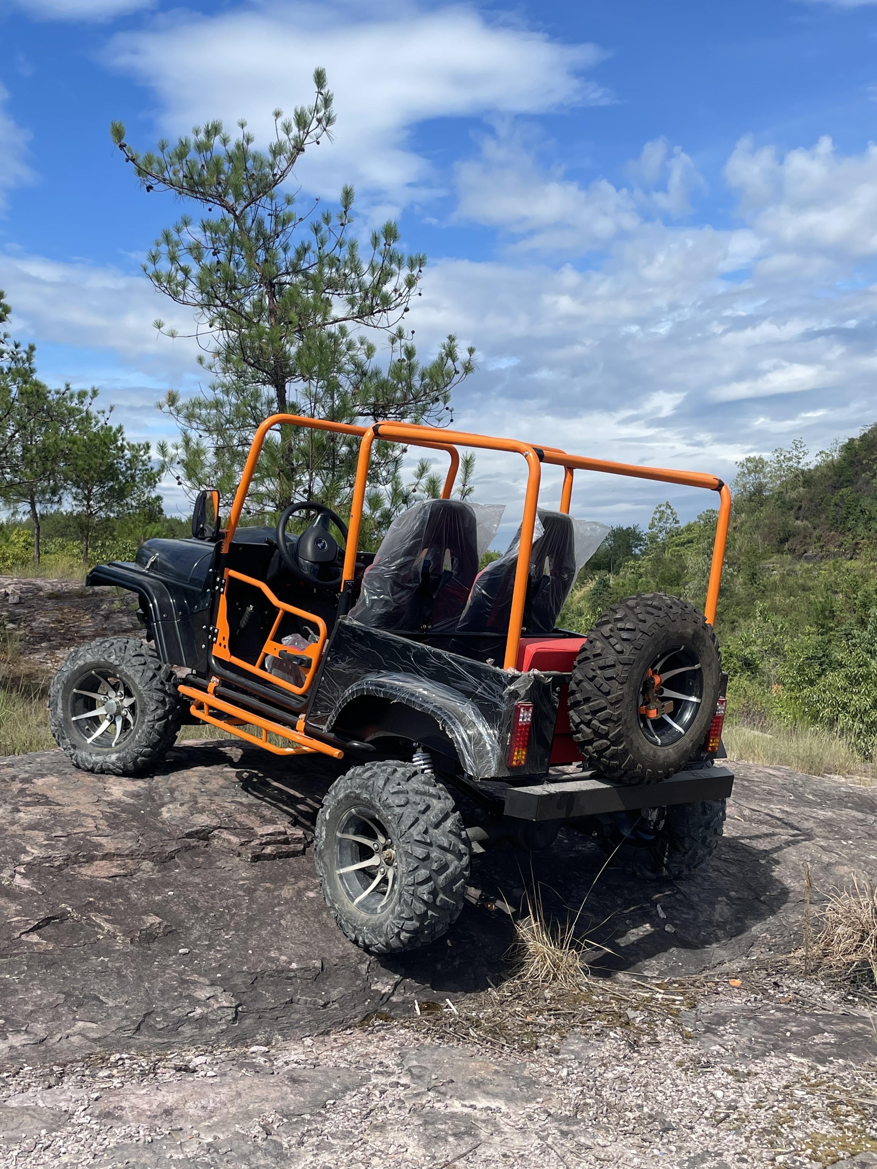 Dune Buggy Vehicle Adult Go Karts 4 Wheel oil Car 300CC optional two wheel drive, Four-wheel drivewheel  Off Road oil Jeep