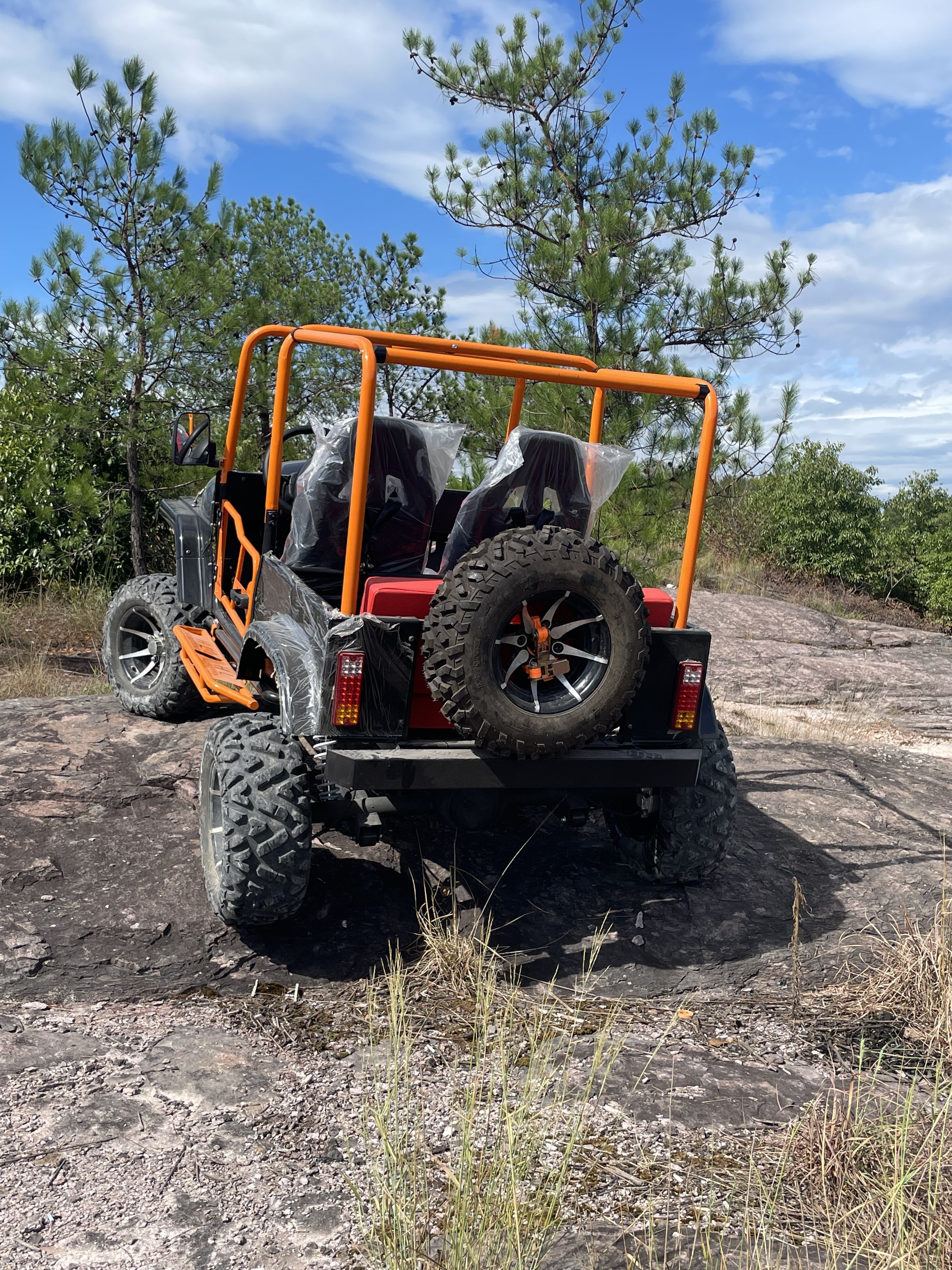 Dune Buggy Vehicle Adult Go Karts 4 Wheel oil Car 300CC optional two wheel drive, Four-wheel drivewheel  Off Road oil Jeep