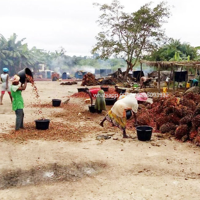 Palm Oil Press Machine