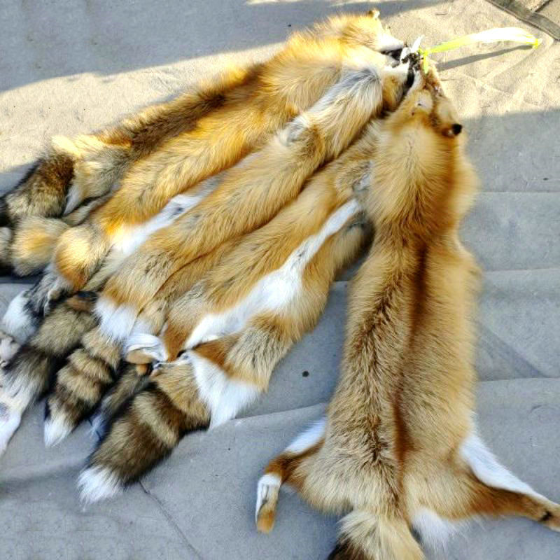 wholesale real natural red color winter sliver full fox fur pelt  golden  real fox fur