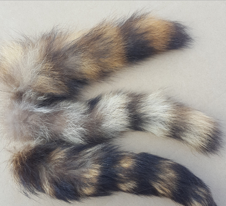 Wholesale cheap price  real fur key chain for sale American raccoon fur tail key chain