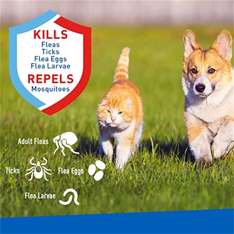 Hot Selling Custom Flea Repellent Kill Flea And Tick Spray Sterilize For Cats & Dogs Kills Eggs And Larvae