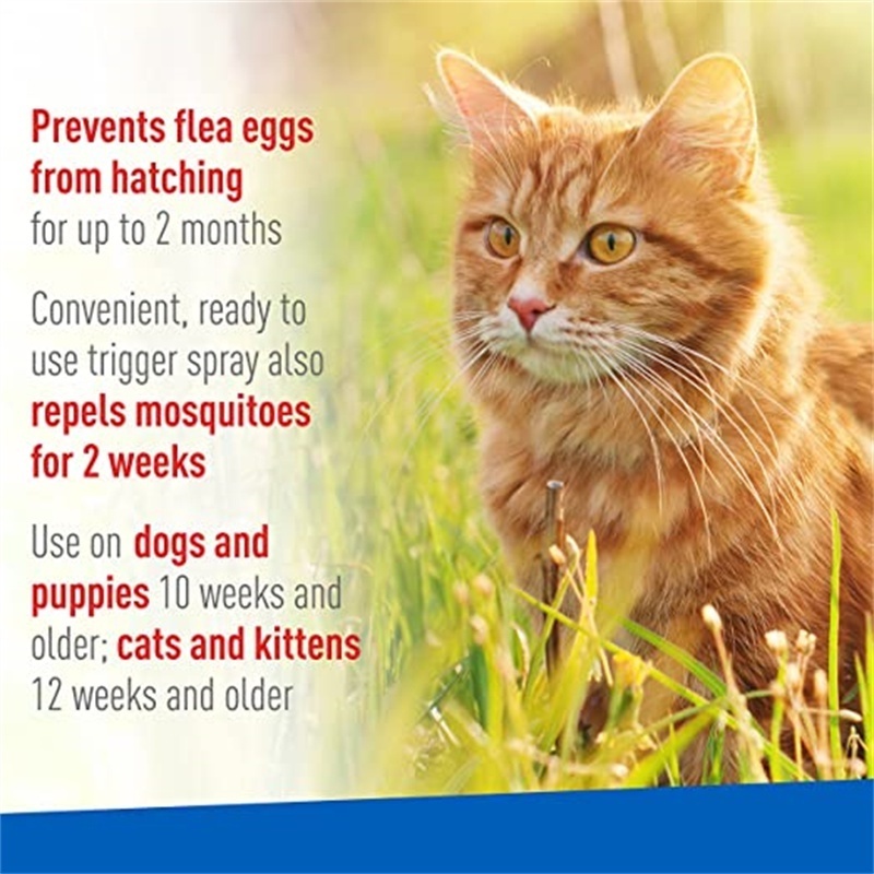 Hot Selling Custom Flea Repellent Kill Flea And Tick Spray Sterilize For Cats & Dogs Kills Eggs And Larvae