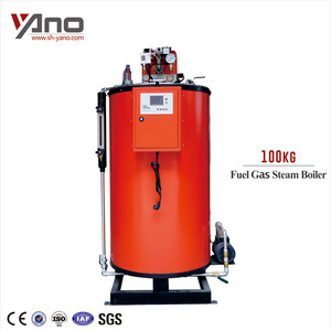 LPG fired 100KG/H Steam Boiler for Dry Cleaning Machine Price