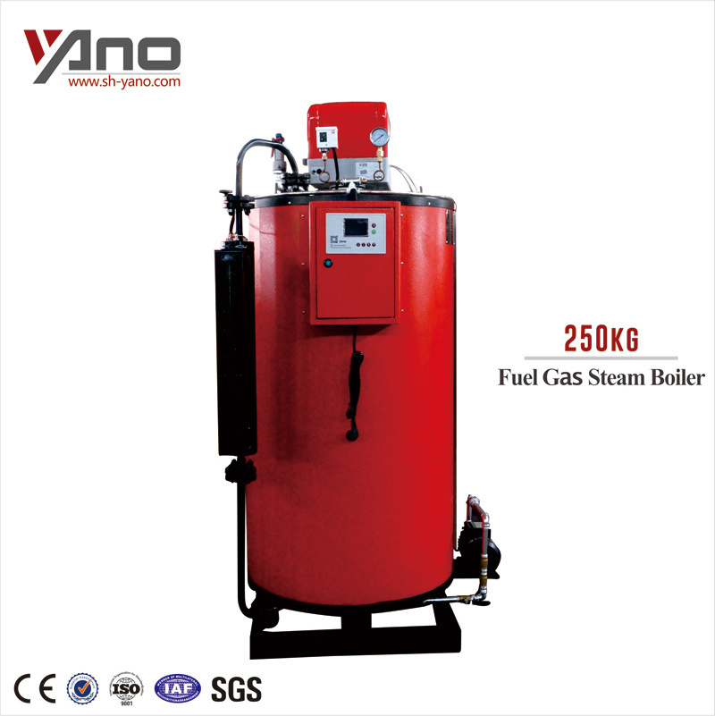 LPG fired 100KG/H Steam Boiler for Dry Cleaning Machine Price