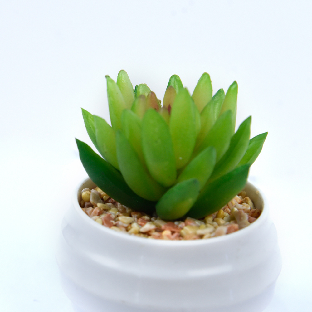 Bonsai Artificial Succulent Plant Pots Restaurant Decor Hot Selling Mini Faux Tropical Plants Natural for Desktop Hotel Home