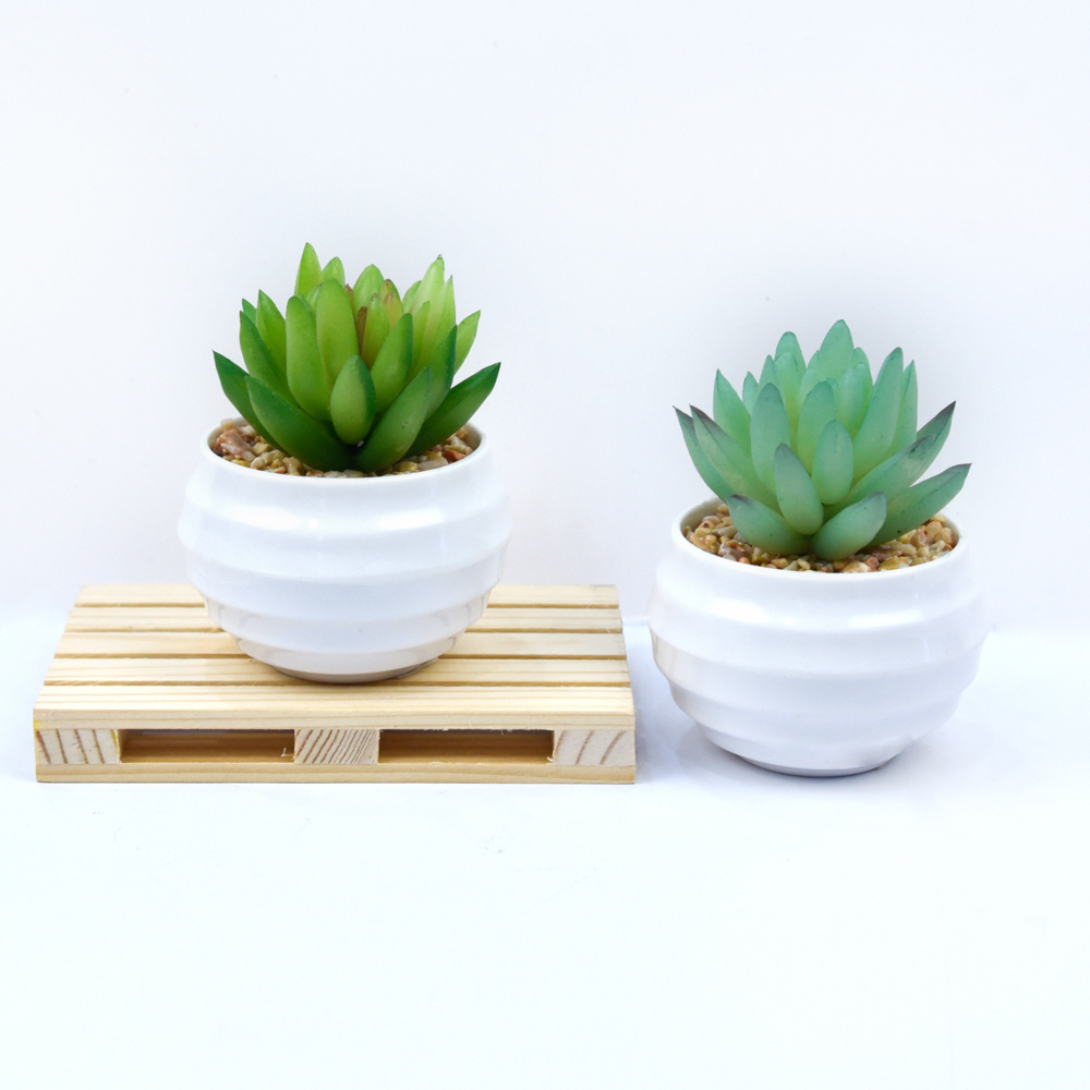 Bonsai Artificial Succulent Plant Pots Restaurant Decor Hot Selling Mini Faux Tropical Plants Natural for Desktop Hotel Home