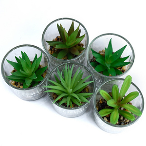 Mini Green Potted Artificial Plants Plants Artificial Succulent For Home Decoration