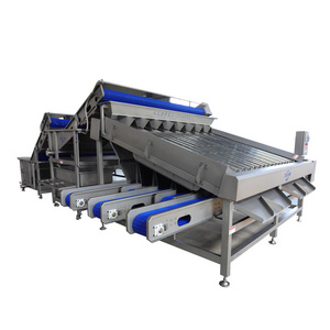 Seafood processing shrimp grading machine