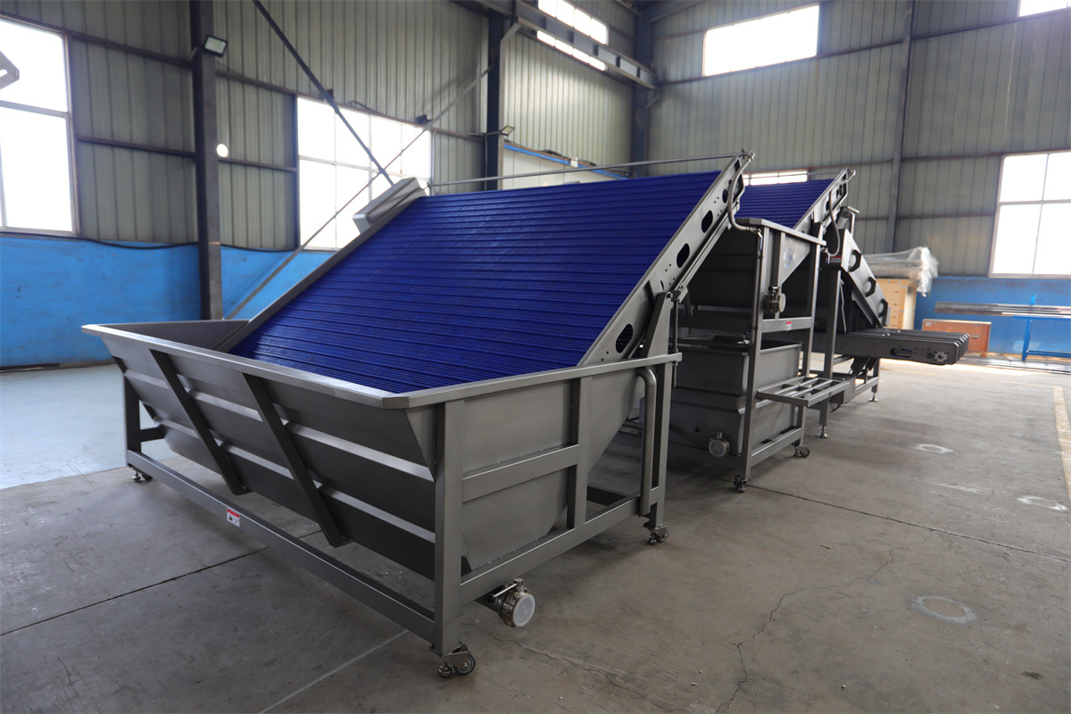 Seafood processing shrimp grading machine