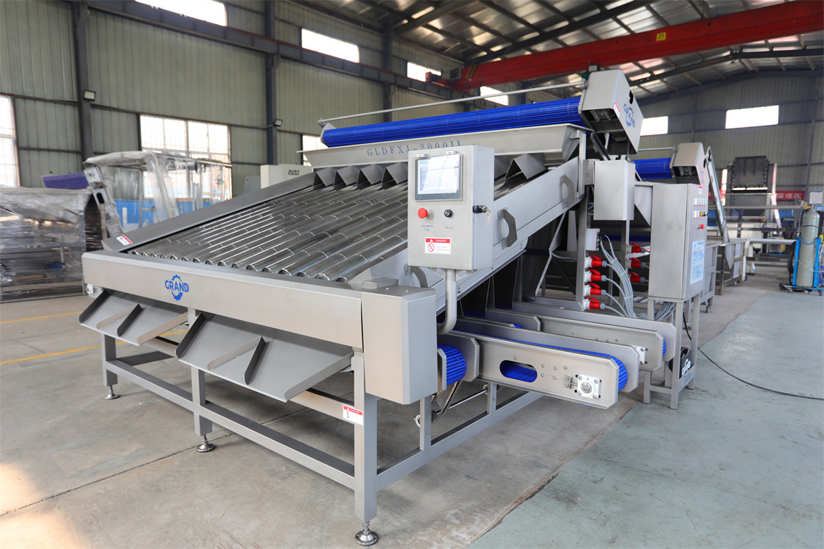 Seafood processing shrimp grading machine