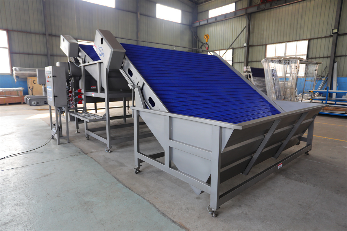 Seafood processing shrimp grading machine