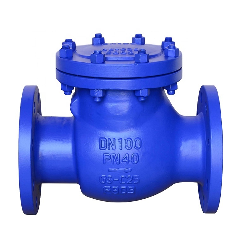 carbon steel WCB  2inch  flange PN25 bellow seal lift check valve for  chlorine gas