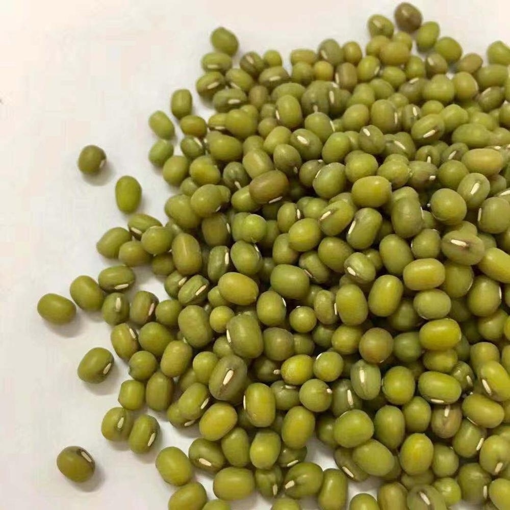 Wholesale Splits Green Mung Beans