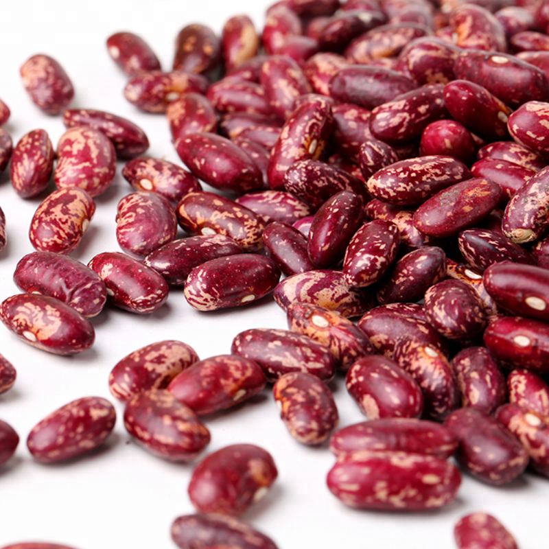 Wholesale Pinto Bean Red Speckled Kidney Beans for Sale